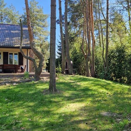 Domek Nad Narwia Dlugosiodlo Eksteriør bilde